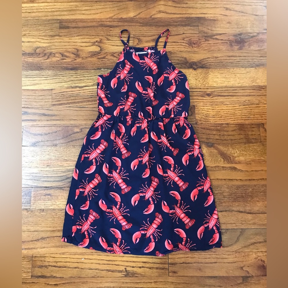 Girls Old Navy Crawfish Themed Dress NWOT
Waist Spaghetti Straps 
Small … - Picture 2 of 9